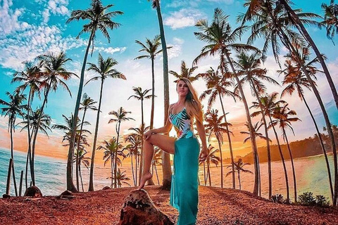 Mirissa: Private Coastal Tour with Coconut Tree Hill