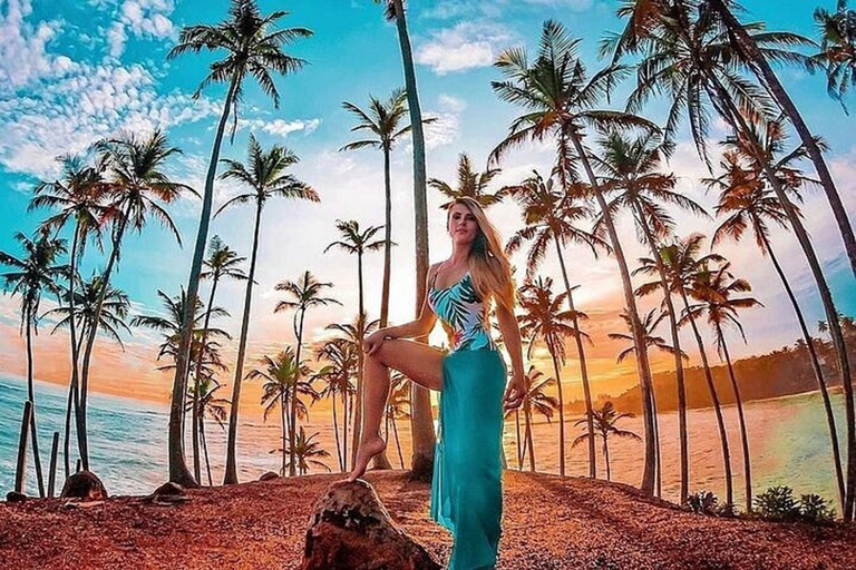 Mirissa: Private Coastal Tour with Coconut Tree Hill