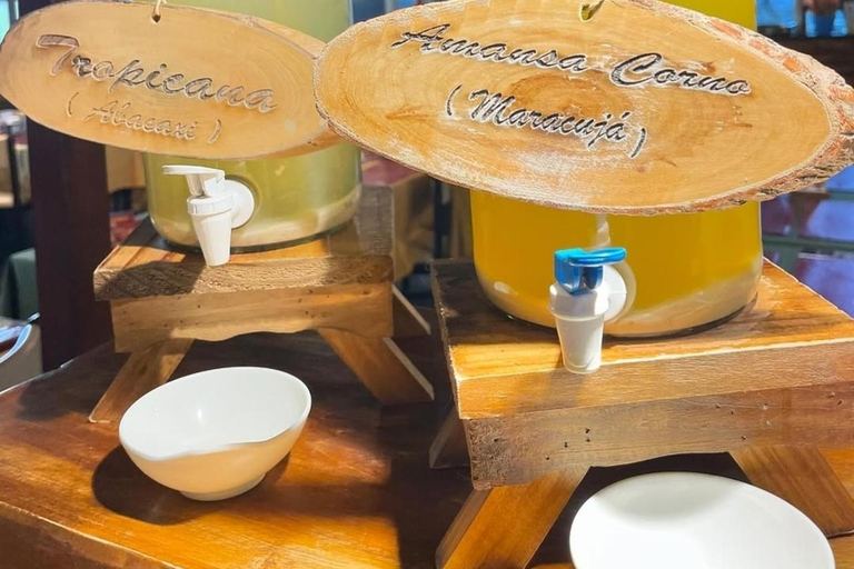 Mendanha-vattenfallet Rio de Janeiro + Lunch + TransportCachoeira do Mendanha Rio de Janeiro + Lunch + Transport