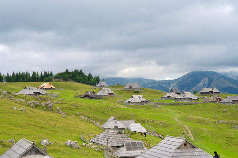 From Ljubljana: Velika Planina Tour with Meal & Photos