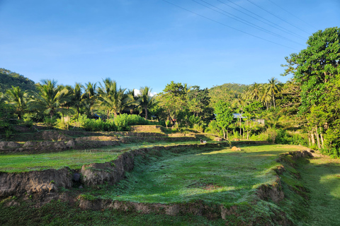 Tour dei funghi delle Gili