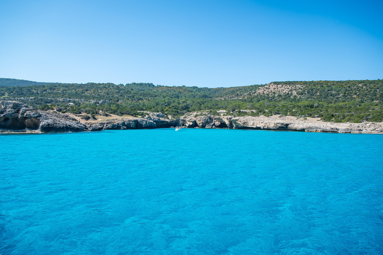 Pafos: Excursión de un día a Akamas, Baños de Afrodita y Laguna AzulExcursión con parada de 1 hora en la Laguna Azul