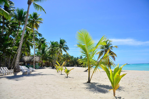 蓬塔卡纳：绍纳岛之旅 • 双体船和海滩午餐