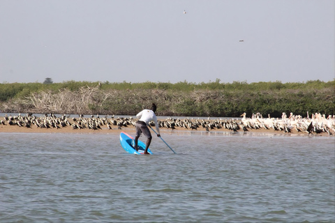 Somone: Guided Group Canoe Tour through the Mangroves Canoe 1 seat