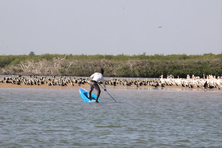 Somone: Guided Group Canoe Tour through the Mangroves Canoe 1 seat