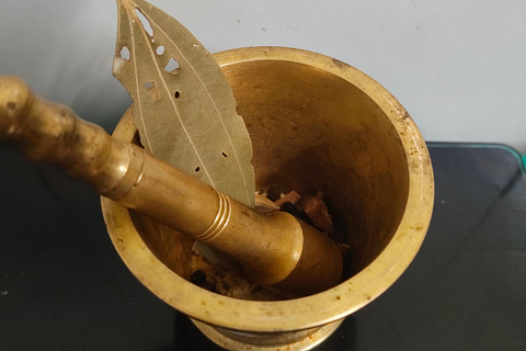 Udaipur: Indian Cooking Class - Art, Antiques & Storytelling Private Experience