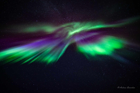 Tromsø: Northern Lights tour with local experts