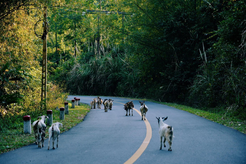 3-Day Discover the most stunning Cat Ba Island - Lan Ha Bay