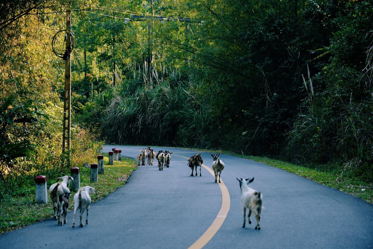 3-Day Discover the most stunning Cat Ba Island - Lan Ha Bay