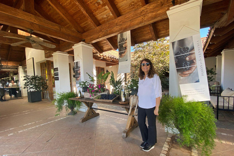 Farellones and Casablanca Valley: Private Mountain Tour and Premium Wines