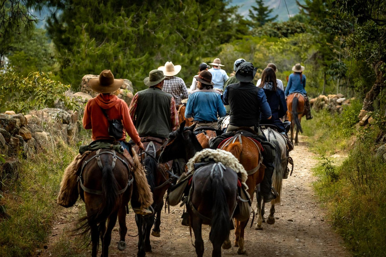 Cundinamarca: La Calera Horseback Riding Tour
