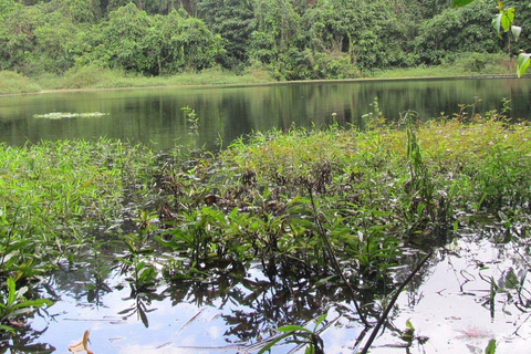 Dzień w raju: odkryj magię wyspy Pemba