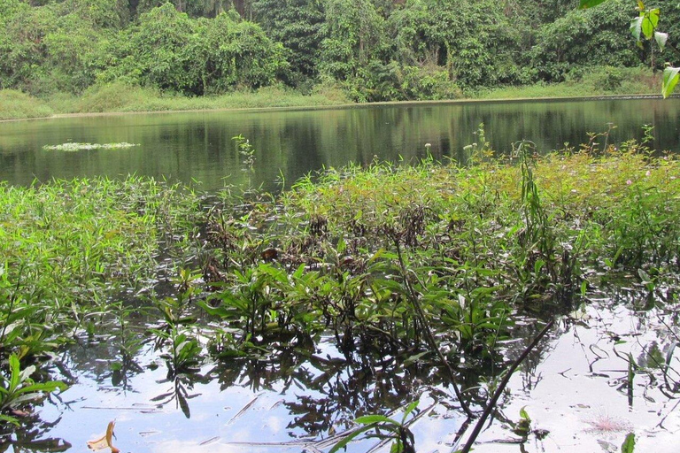 Dzień w raju: odkryj magię wyspy Pemba