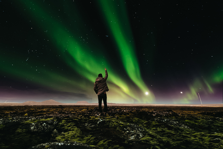 Reykjavik: tour premium da aurora boreal com fotos gratuitas