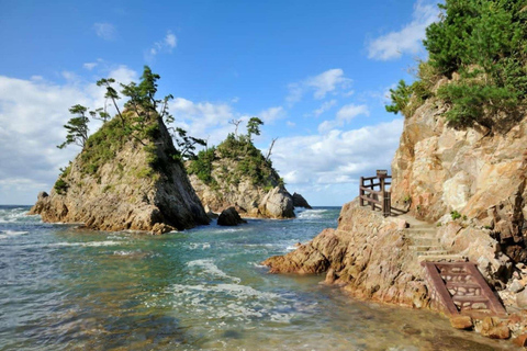 Tottori: Private Tour to Sand Dunes, Museum & Hakuto Coast