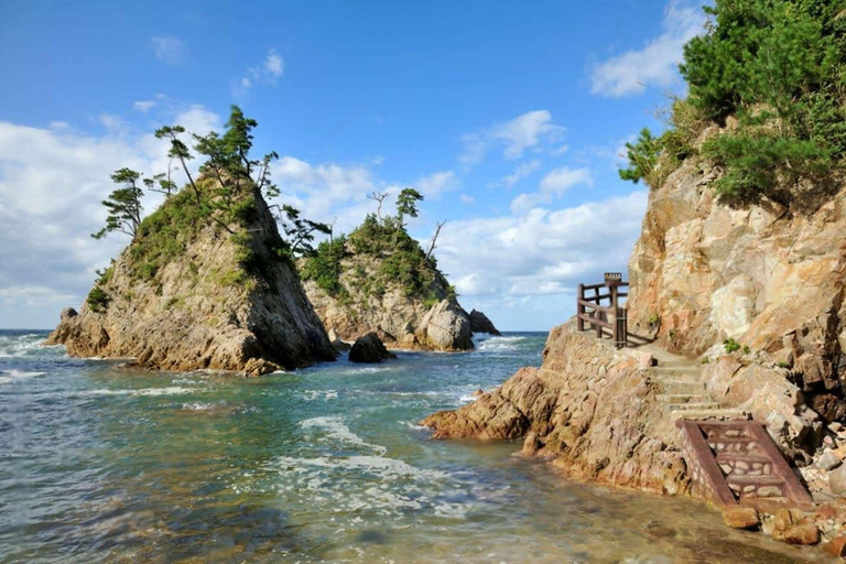 Tottori: Private Tour to Sand Dunes, Museum & Hakuto Coast