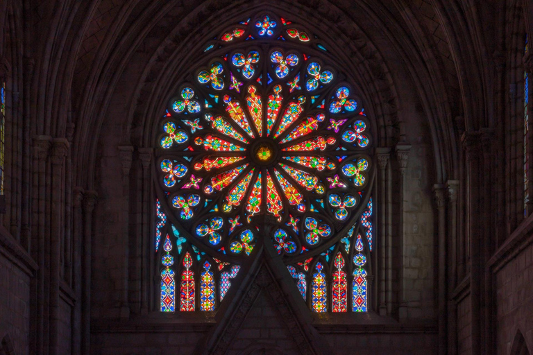 Quito Basilica del Voto Nacional Private Tour with Entry
