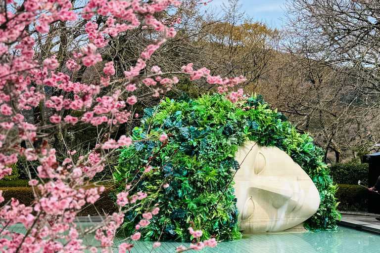 Tokyo: Mt. Fuji, Owakudani, Hakone Shrine, & Open-Air Museum Tokyo Station Meeting Point