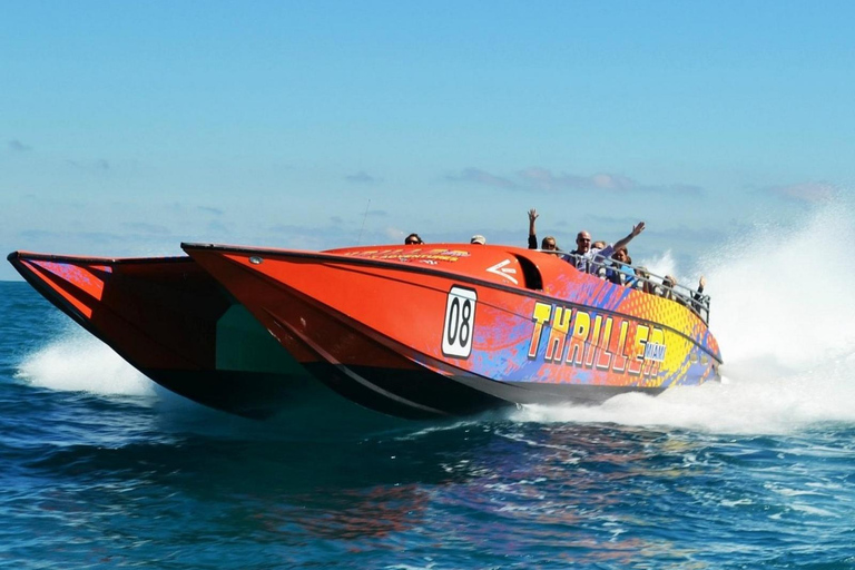 Passin Miami: 30+ Attractions, eSIM & 1-Way Airport Transfer 3 Day Passin