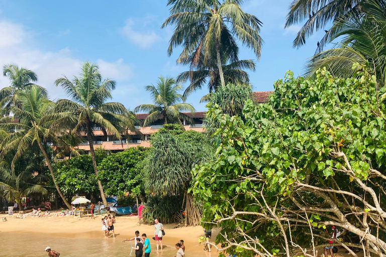 Galle Fort, Mask Museum, and Turtle Hatchery Day Trip