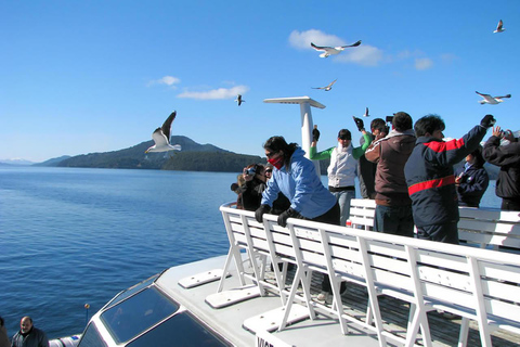 Traversata dei laghi andini. Da Puerto Varas a Bariloche