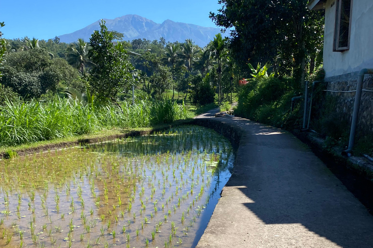 特特巴图：瀑布、香料、梯田、猴子森林特特巴图之旅、香料、瀑布、梯田、猴林