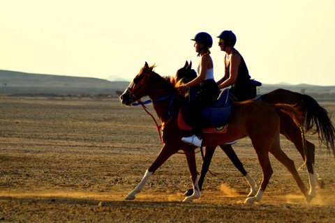 Marsa Alam: Passeio a cavalo pelo mar e pelo deserto