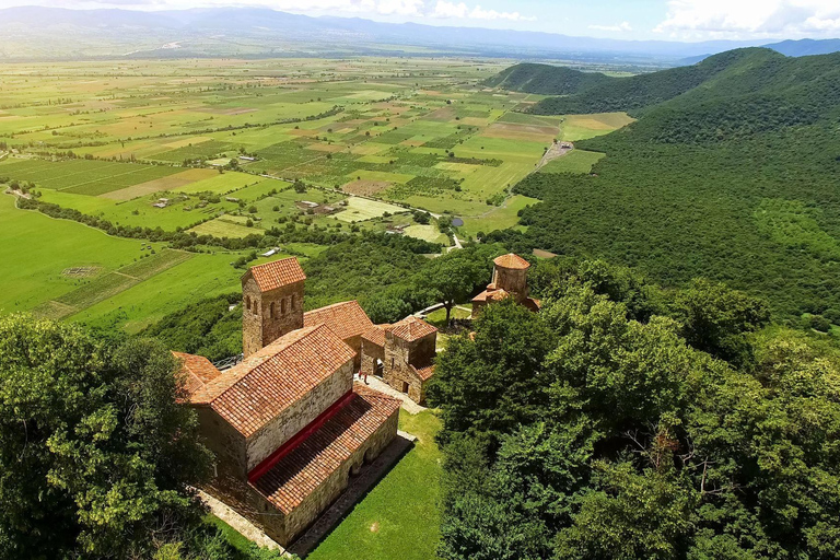From Tbilisi: Kakheti Private Tour with Wine Tasting