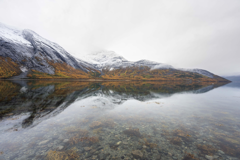 From Abisko: Norwegian Fjords and Wildlife Day Trip
