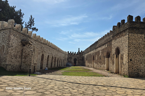 Gondar: Stadtführung mit Fasil Ghebbi &amp; Debre Berhan Selassie