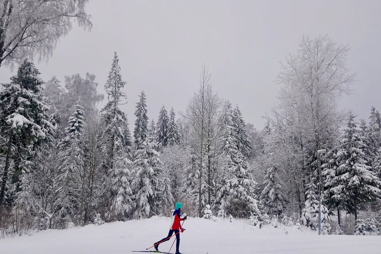 Tallinn: Cross-Country Skiing Experience