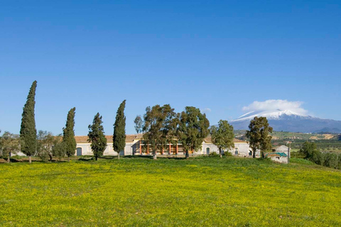 Catane : Visite guidée de l'exploitation agricole Pozzo di Gaspare avec dégustations