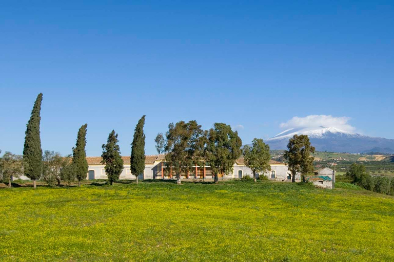 Catane : Visite guidée de l'exploitation agricole Pozzo di Gaspare avec dégustations