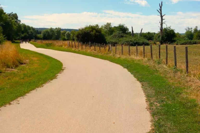 Passeio de bicicleta de Vernon a Giverny com guia local