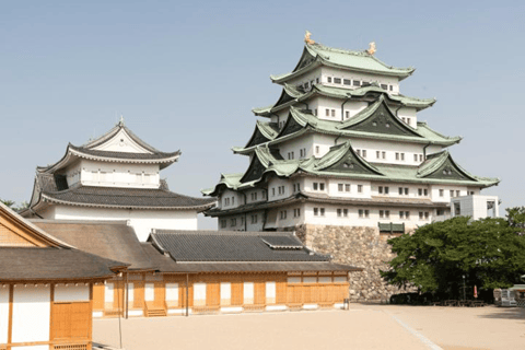 Nagoya: Grand Sumo Tournament & Nagoya Castle Tour w/ Guide
