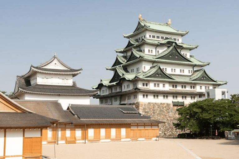 Nagoya: Grand Sumo Tournament & Nagoya Castle Tour w/ Guide