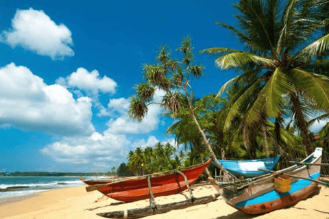 9-Day Romantic Getaway: Honeymoon Tour in Sri Lanka