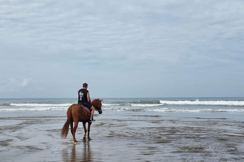 Experiência de equitação na praia de Seminyak