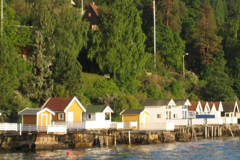 Oslo: Mini crucero por los fiordos en velero de madera