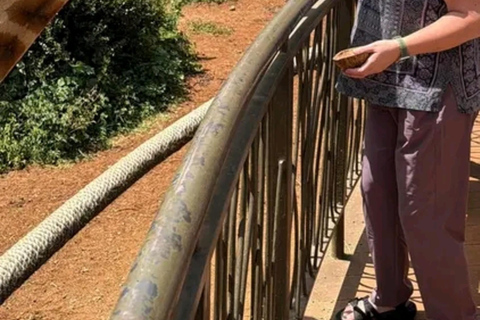 Nairobi: Guided Giraffes Centre & Karen Blixen Museum Tour. Nairobi: Karen Blixen Museum Guided Tour .