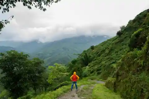 Kurseong: White Orchid Trail Hike with Hotel Pickup
