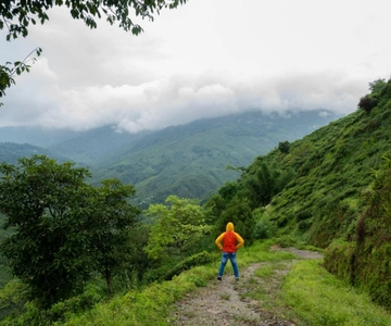 Kurseong: White Orchid Trail Hike with Hotel Pickup
