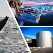 Reykjavík: Crociera per avvistare le balene e biglietto cumulativo FlyOver