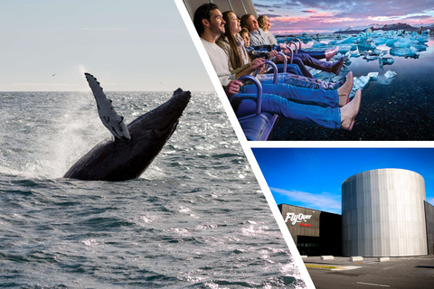 Reykjavík: Whale Watching Cruise and FlyOver Combo Ticket