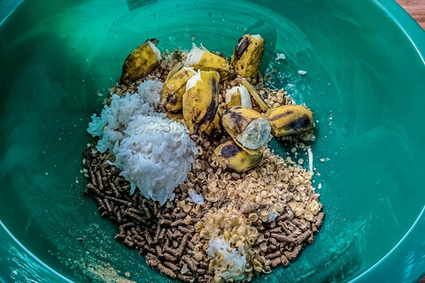 Krabi Mangrove Kayak &Elephant Shelter with Private Transfer Krabi: Mangrove Kayak&Elephant Shelter with Private Transfer