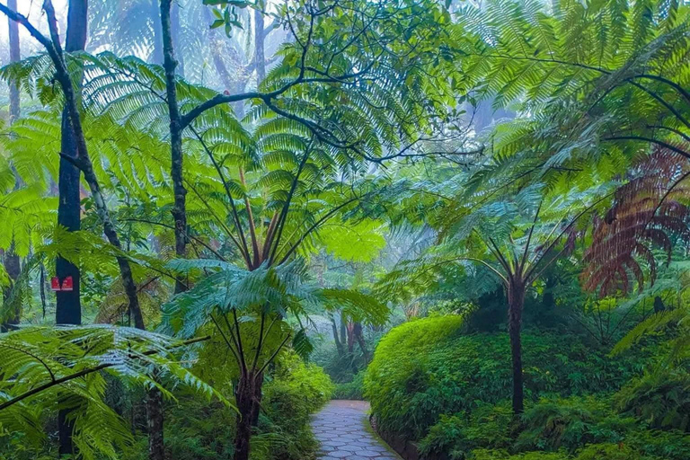 Kandy: Nuwara Eliya, Ambewela Drop Tour & Ella Train journey Kandy: Nuwara Eliya, Ambewela Drop Tour by car or van
