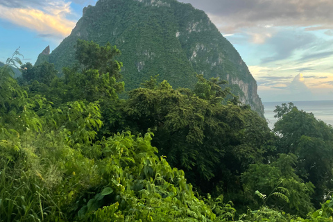 St. Lucia: Maranatha Gardens, Mud Bath & Buffet Lunch Tour