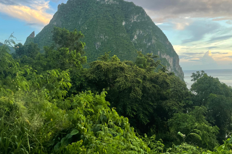 St. Lucia: Maranatha Gardens, Mud Bath & Buffet Lunch Tour