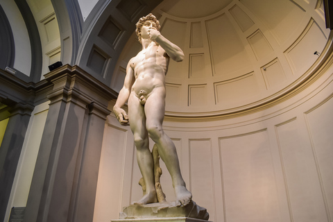 Florence: Accademia Gallery Ticket with Optional Audio Guide9:30 AM Ticket with Audio Guide