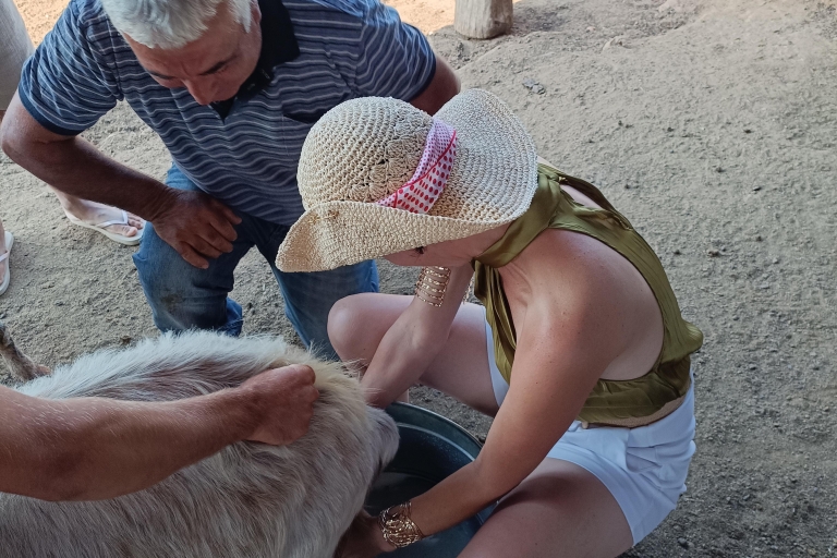 Salónica: Visita una granja y un pueblo tradicionalVisita una granja de cabras y ovejas
